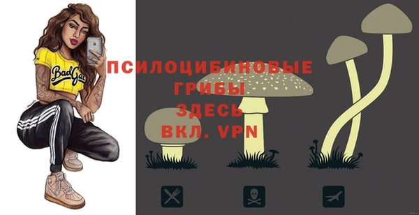 mdpv Козловка