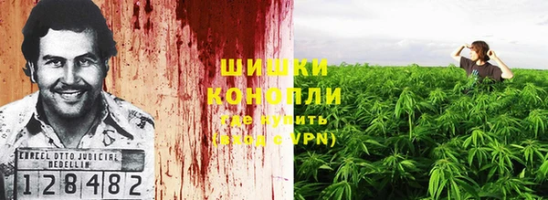 прущая мука Кодинск