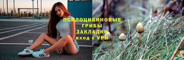 марки lsd Козельск