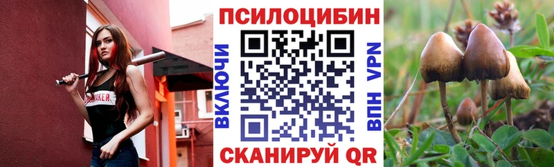 Галлюциногенные грибы Psilocybe  Купить где  Балашов 